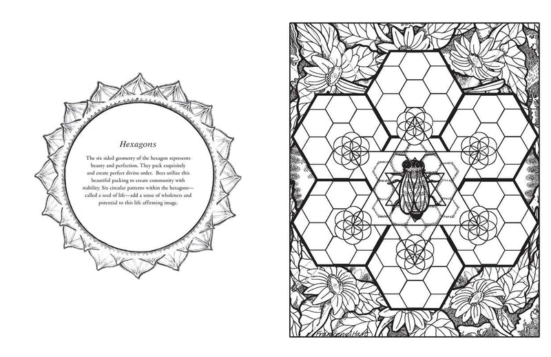 Sacred Geometry Coloring Book by Francene Hart