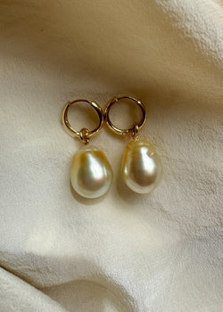 Jumbo 14mm Champagne Golden South Sea Pearl Charm Earrings on 14kt