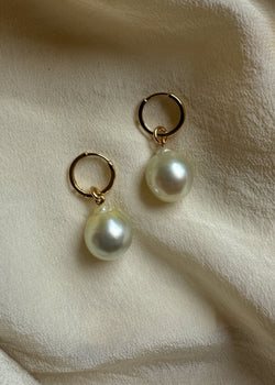 13mm Champagne Golden South Sea Pearl Charm Earrings