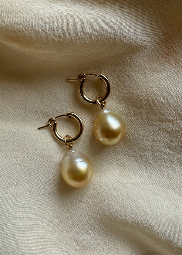 13mm Champagne Golden South Sea Pearl Charm Earrings Gold Filled