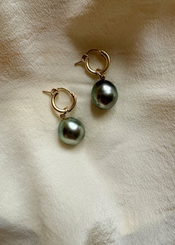 12mm Oval Tahitian Pearl Charm Earrings Gold Filled