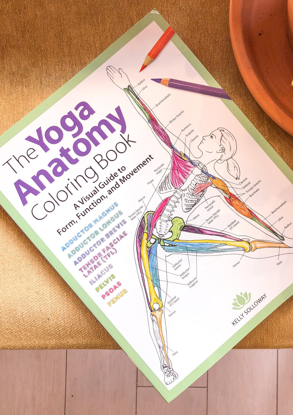 The Yoga Anatomy Coloring Book – The Monarch Collective