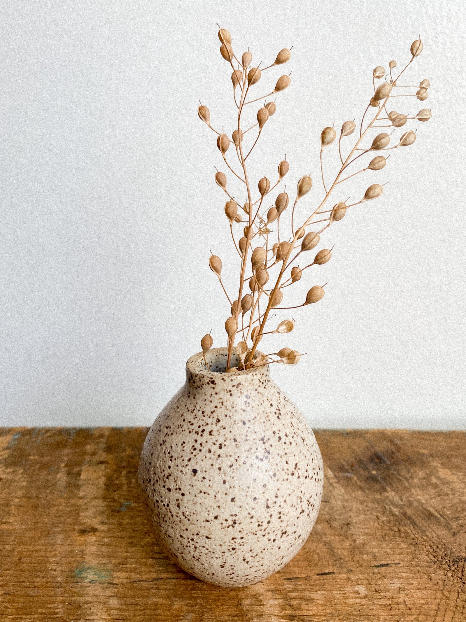 Speckled Flower Vase - Handmade - modern pottery, boho vase, hotsell flower vase, wheel thrown, Soda Fired, unique home decor, one of a kind gift