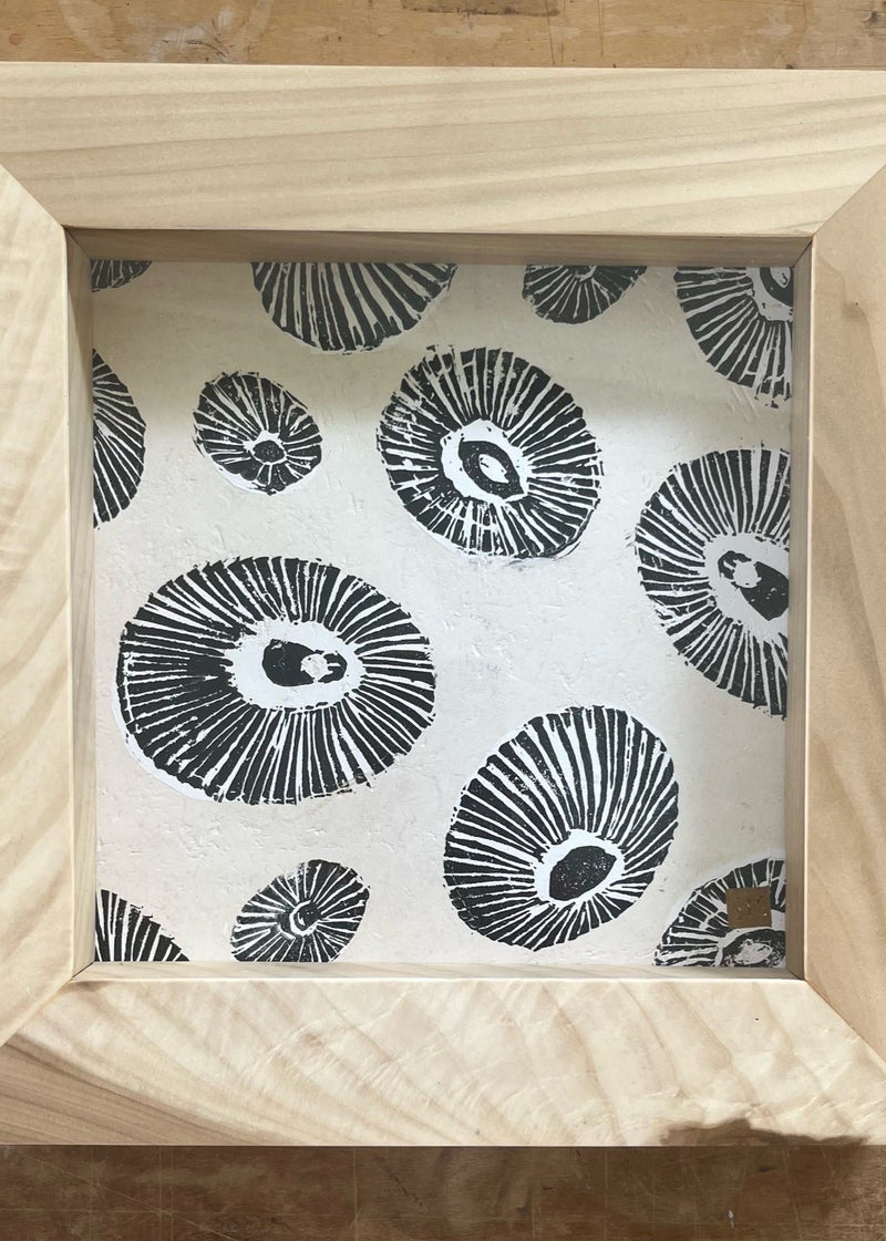 Opihi Shadow Box